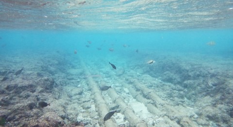 Piélago Ingeniería y Medioambiente acreditado ENAC inspeccionar emisarios submarinos