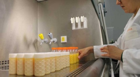 Crean envase bioactivo partir azúcar aguas residuales industria zumos