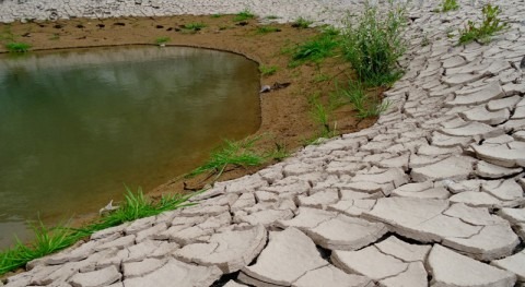 enfoque novedoso minimiza impacto económico futuros escenarios escasez agua