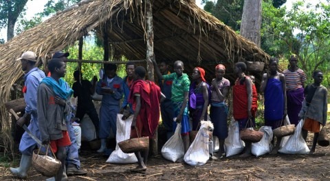 Huir clima: víctimas silenciosas calentamiento global