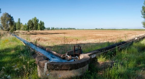 Fenacore defiende uso aguas regeneradas y desaladas garantizar alimentación