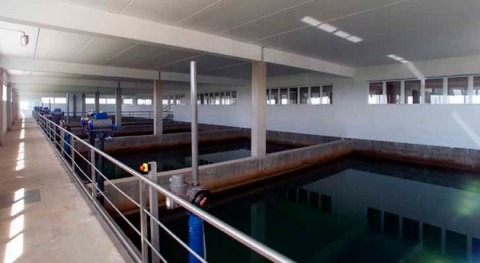 Cadagua se adjudica modernización ETAP Polonia