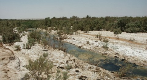 Fifa Nature Reserve, Jordania, es Humedal Importancia Internacional más mundo