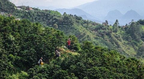 Pequeñas hidroeléctricas fincas