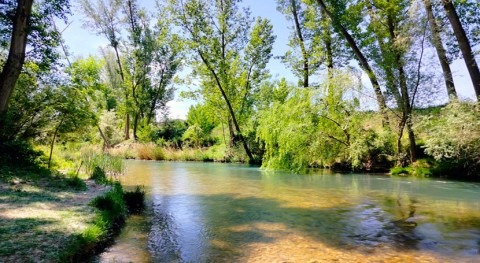 tesis doctoral IIAMA estudia afección pesticidas masas agua DHJ