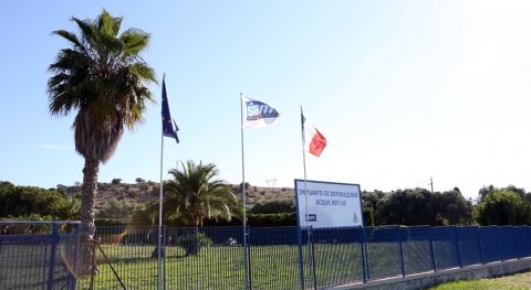 Grupo DAM: proyección internacional vocación mediterránea