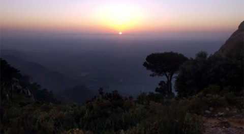 clima condiciona impacto gestión forestal suelo bosques mediterráneos