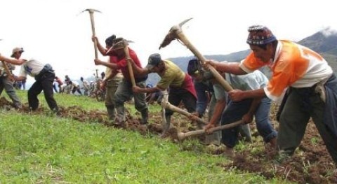 Gobierno Perú lanza programa gratuito apoyo y asistencia técnica organizaciones agrarias