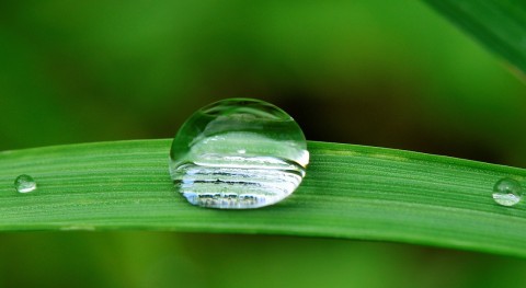 garantías agua