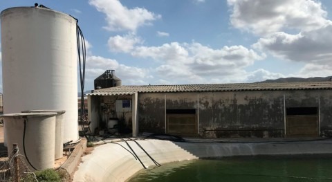 Tratamiento agua consumo animal y explotación porcina