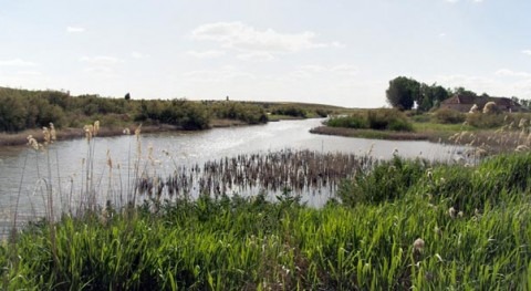 El río Guadiana a su paso por el parque nacional de Las Tablas de Daimiel.