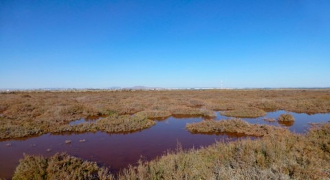 Mar Menor: Murcia da luz verde investigación hidrogeológica humedal Carmolí