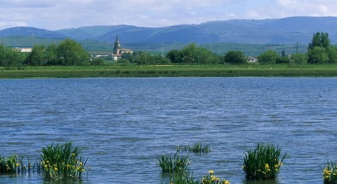 Humedal en Álava (SEO/BirdLife).