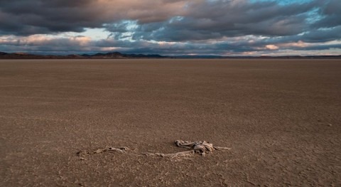 Humedales vías extinción