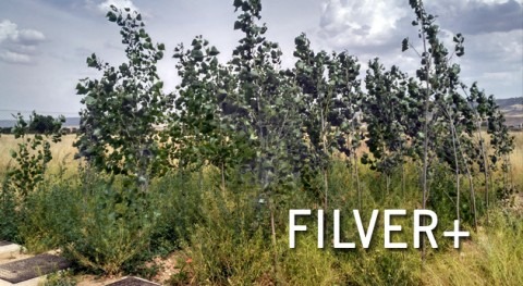 FILVER+, regeneración aguas mediante nuevo concepto filtro verde