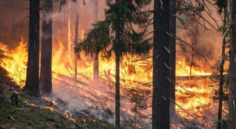 Incendios forestales y afectación aguas