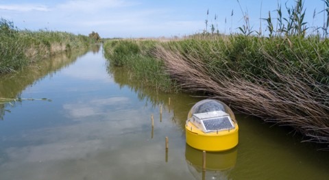 sistema medición tiempo real monitorizará agua l’Albufera