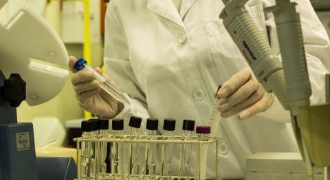 Desarrollar herramientas moleculares evaluar agua riego transmisión patógenos