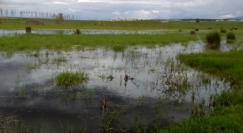 Cuidados tesoro: lagunas Cantalejo (Segovia)