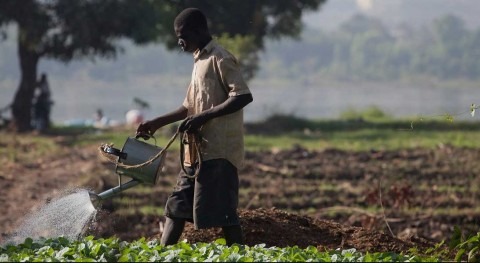 agua agricultura: importancia y manejo