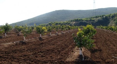 INE presenta Encuesta uso agua sector agrario realizada 2011