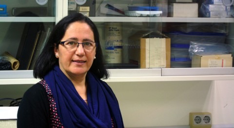 Inmaculada Romero, nueva directora Cátedra "Planeta y Desarrollo Sostenible"