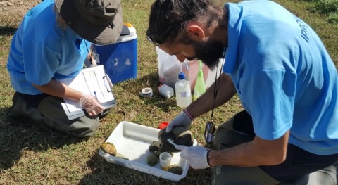 IPROMA Sevilla amplía alcance acreditación ENAC