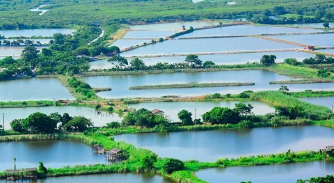 Libelium reduce 50% pérdidas piscifactorías Vietnam controlando calidad agua