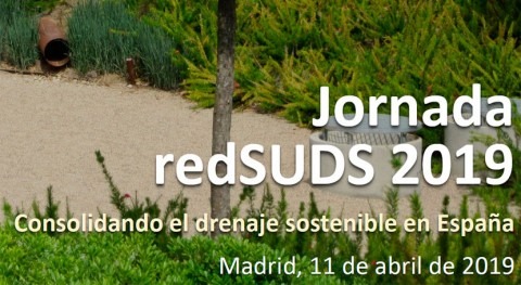 Expertos se reúnen 11 abril Madrid analizar situación actual SUDS