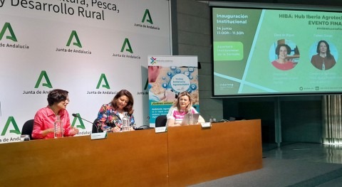 Andalucía promueve búsqueda soluciones innovadoras gestión agua sector agro