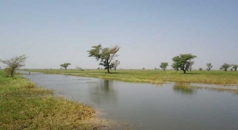 Burkina Faso y Malí declaran Valle Sourou como sitio Ramsar transfronterizo