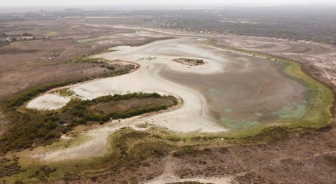 Santa Olalla, laguna más grande Doñana, se seca segundo año consecutivo
