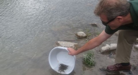 Pablo Munilla suelta alevines en el río Ara.