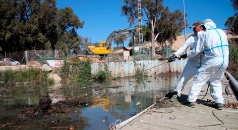 CHS licita contrato mantenimiento y limpieza redes flotantes río Segura