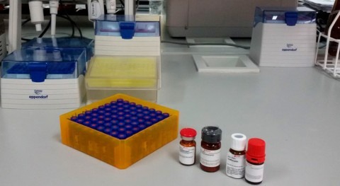 IUACA continua apostando eliminación contaminantes emergentes. Proyecto LIFE-EMPORE