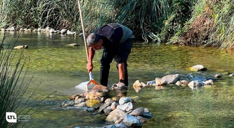 LTL finaliza Ejercicio Intercomparación Macroinvertebrados alta participación