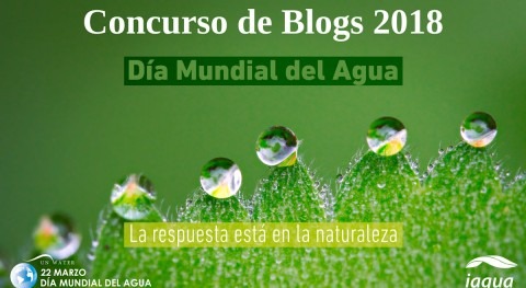 Concurso Blogs Día Mundial Agua 2018: Anunciamos Jurado y ¡ampliamos plazo!