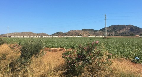 Colaboración y valores salvar Mar Menor