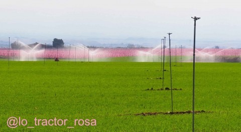 Como agua mayo marzo