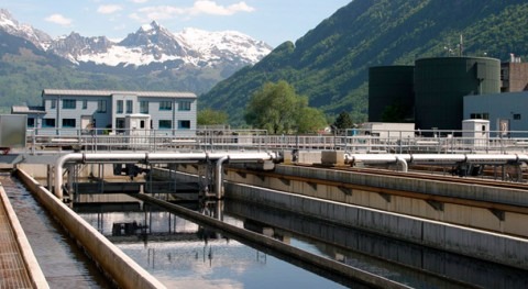 uso microalgas es clave avanzar sostenibilidad tratamiento aguas