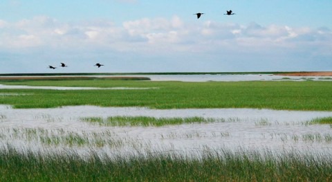 España contribuye 10 millones euros al Fondo Marco Global Biodiversidad