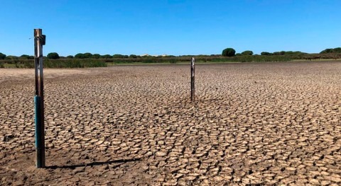 investigación UPO alerta grave situación hídrica lagunas Doñana