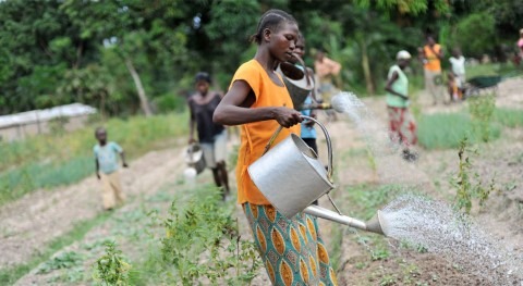 agricultura ofrece soluciones crisis agua escala mundial, afirma FAO