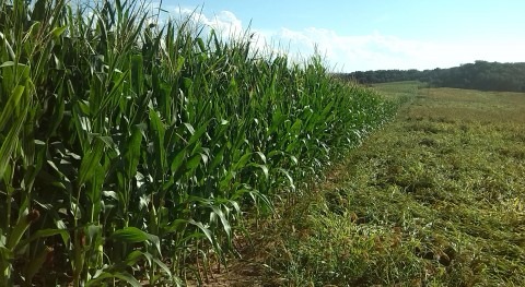 Así es mayor finca europea sistema riego subsuperficial ahorro agua