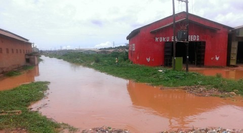 Mueren siete personas causa inundaciones y deslizamientos tierra este Uganda