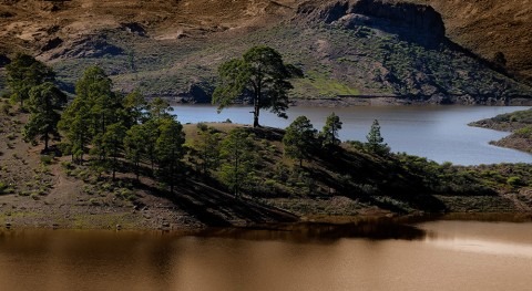 Presa Niñas