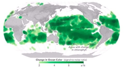 cambio climático da nuevo color al océano
