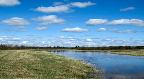 cantidad agua crea cambios bruscos biodiversidad y suelo consecuencias críticas