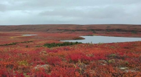 consumo metano suelo ártico aumenta clima más seco