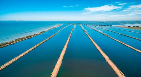 últimos avances tecnología gestión agua se muestran OzWater 2024, Australia